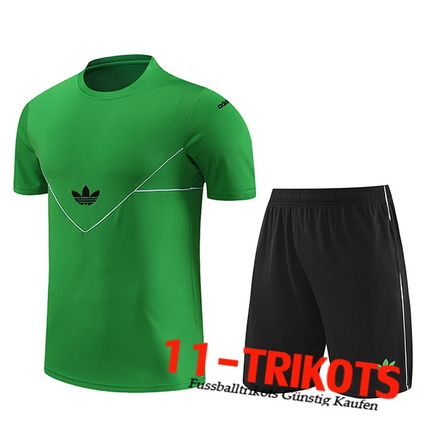 Adidas Trainingstrikot + Shorts Grün 2023/2024