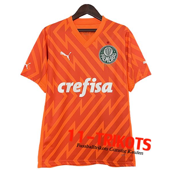 Palmeiras Fussball Trikots Torhuter Orange 2024/2025