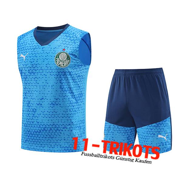 Palmeiras Trainings-Tanktop Blau 2024/2025