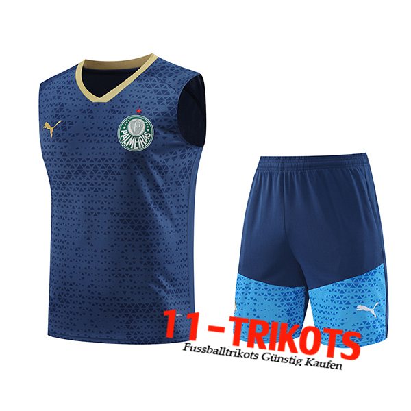 Palmeiras Trainings-Tanktop Navy blau 2024/2025