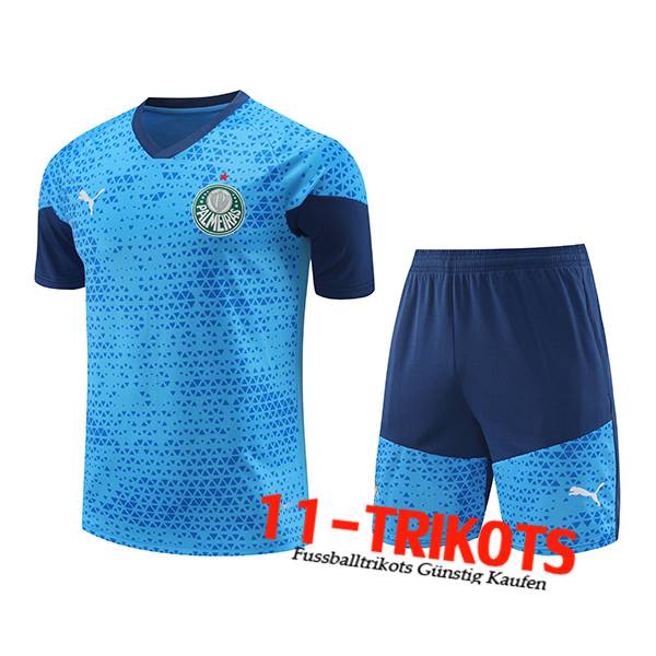 Palmeiras Trainingstrikot Blau 2024/2025