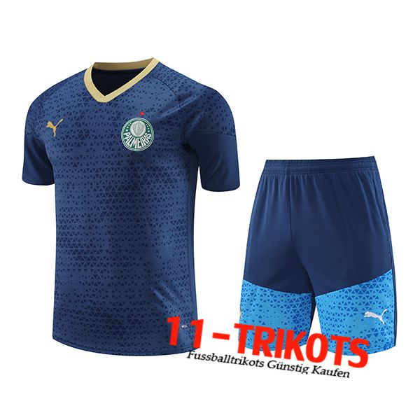 Palmeiras Trainingstrikot Navy blau 2024/2025