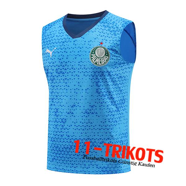 Palmeiras Trainings-Tanktop Blau 2024/2025