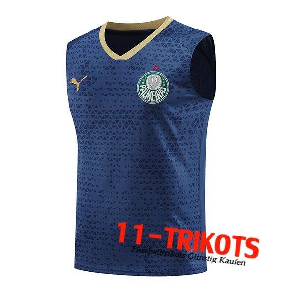 Palmeiras Trainings-Tanktop Navy blau 2024/2025