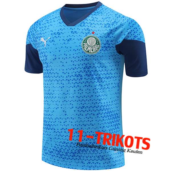 Palmeiras Trainingstrikot Blau 2024/2025