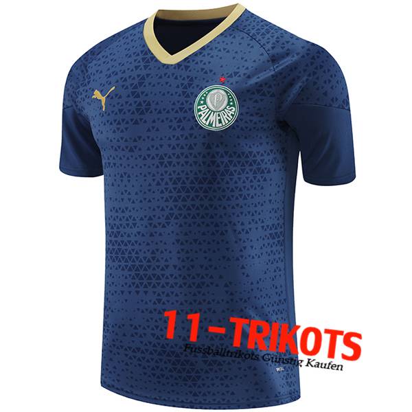 Palmeiras Trainingstrikot Navy blau 2024/2025