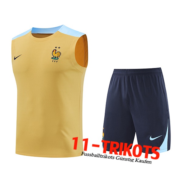 Frankreich Trainings-Tanktop Gelb/Blau 2024/2025