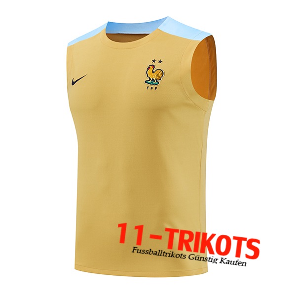 Frankreich Trainings-Tanktop Gelb/Blau 2024/2025