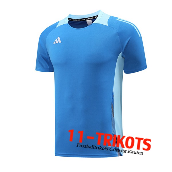 Adidas Trainingstrikot Blau 2024/2025 -03