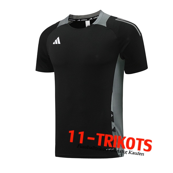 Adidas Trainingstrikot Schwarz/Grau 2024/2025