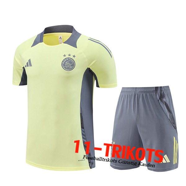 Ajax Trainingstrikot Gelb/Grau 2024/2025