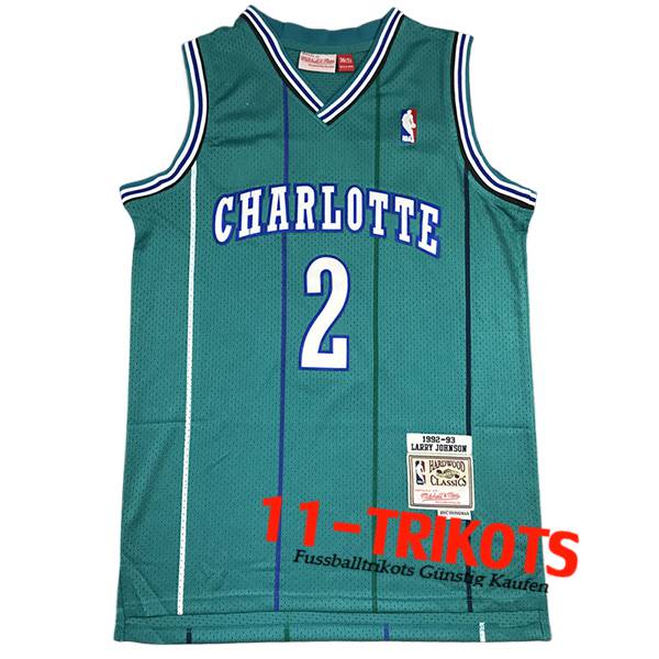 Charlotte Hornets Trikot (JOHNSON #2) 2024/25 Grün