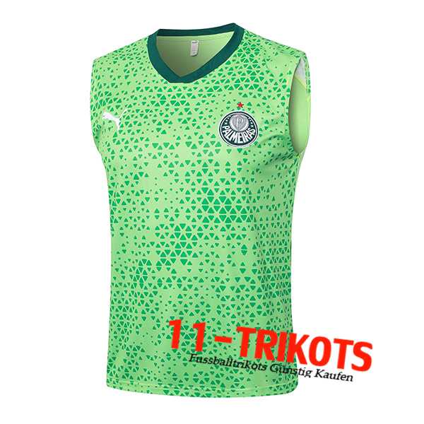 Palmeiras Trainings-Tanktop Grün 2024/2025 -03