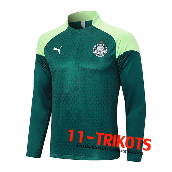 Palmeiras Training Sweatshirt Grün 2024/2025