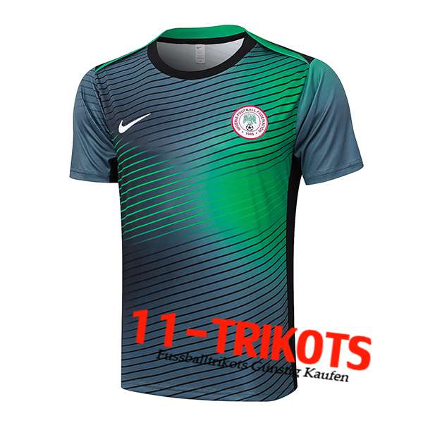 Nigeria Trainingstrikot Grau/Grün 2024/2025