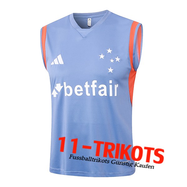 Cruzeiro Trainings-Tanktop Grau/Orange 2024/2025