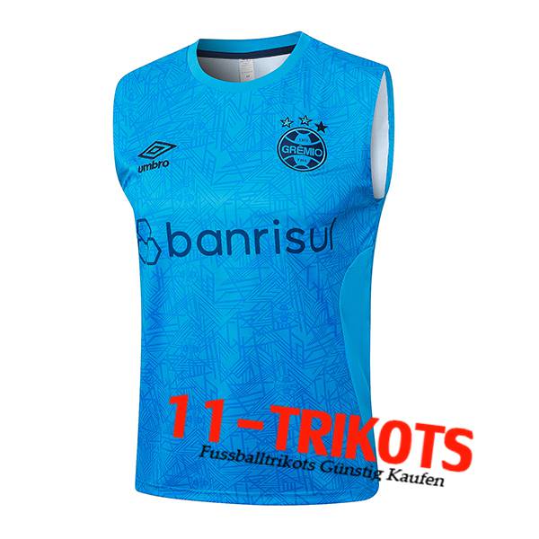 Gremio Trainings-Tanktop Blau 2024/2025