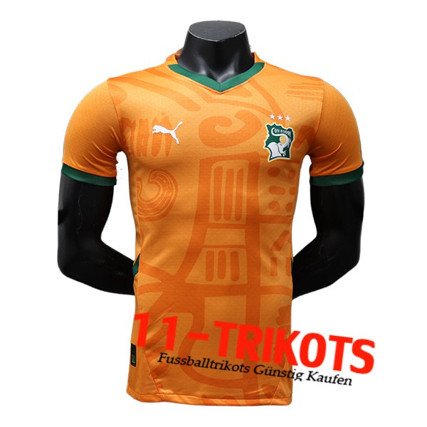 Elfenbeinküste Heimtrikot 2024/2025