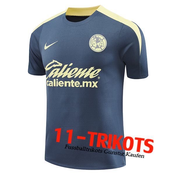 Club America Trainingstrikot Grau/Gelb 2024/2025